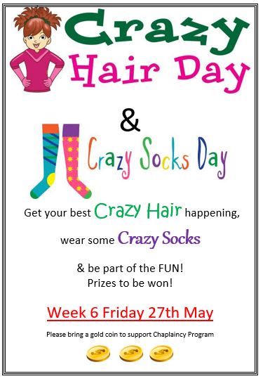 Crazy Hair Day and Crazy Socks Day